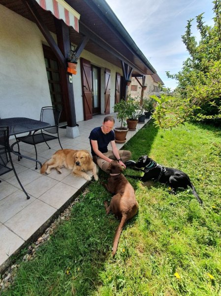 Eduque ton humain - Educateur de chiens et de leurs humains - photo 3