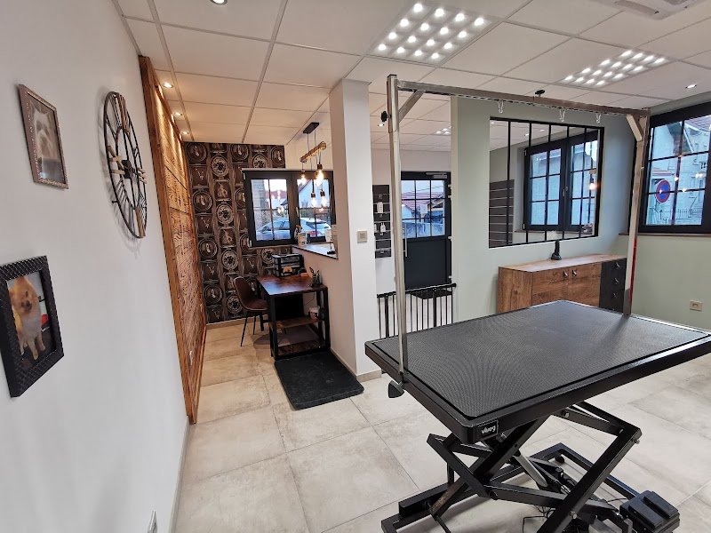 Toiletteur Moby Dog - photo 2