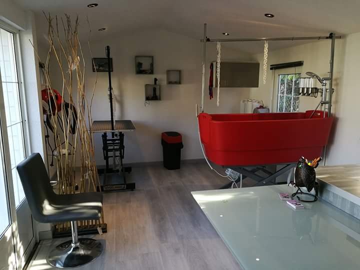 Toiletteur Moby Dog - photo 3