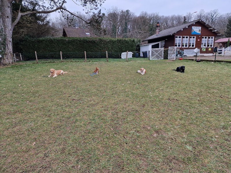 club canin l'isle sur le Doubs