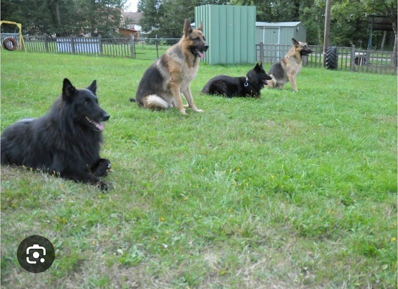 Club canin Héricourt