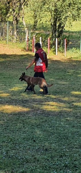 Club canin Héricourt - photo 2