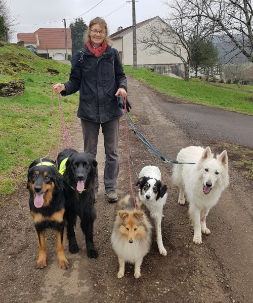 Educateur et comportementaliste canin - photo 1