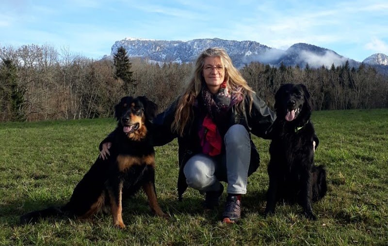 Educateur et comportementaliste canin - photo 2