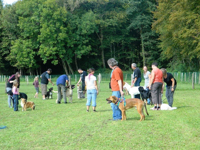Club Canin de Rillans - photo 2
