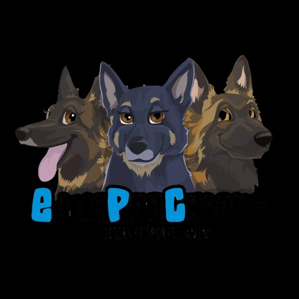 EducProChiens - EI Marion Corradini - photo 1