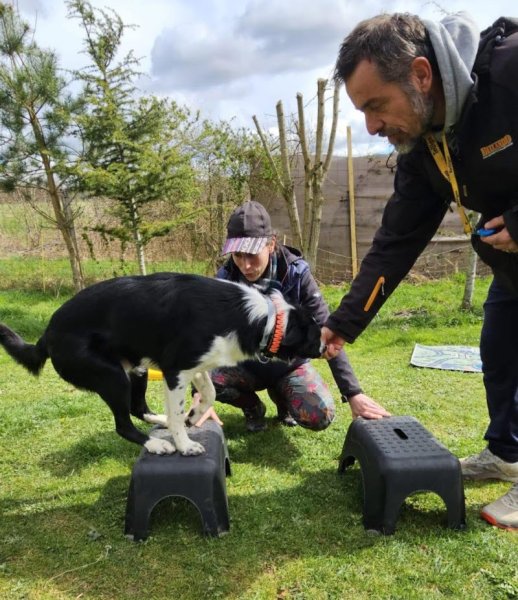 EducProChiens - EI Marion Corradini - photo 2