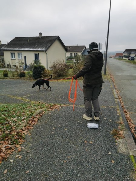 EducProChiens - EI Marion Corradini - photo 3