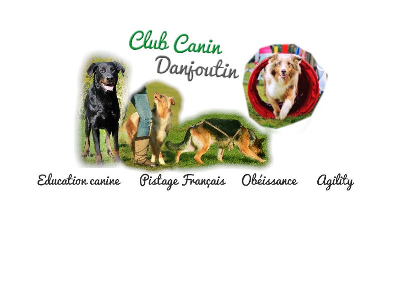 Club canin Danjoutin - photo 1