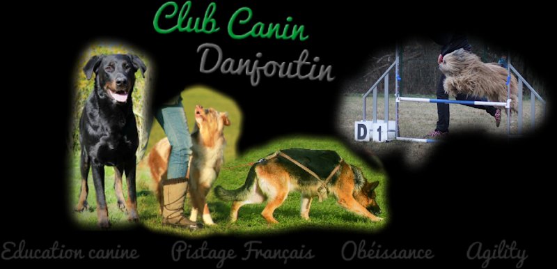 Club canin Danjoutin - photo 2