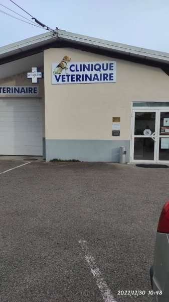 Clinique Veterinaire Du Chien Assis