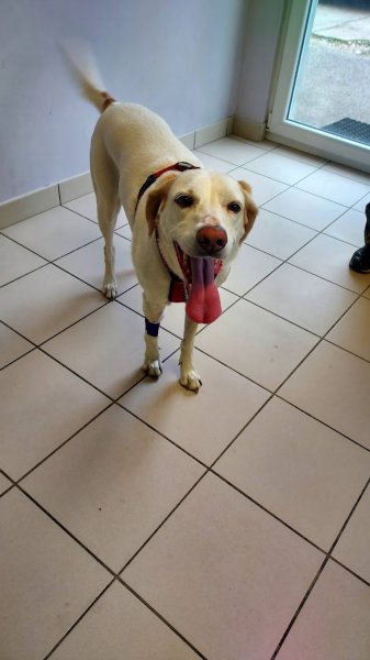 Clinique Veterinaire Du Chien Assis - photo 3