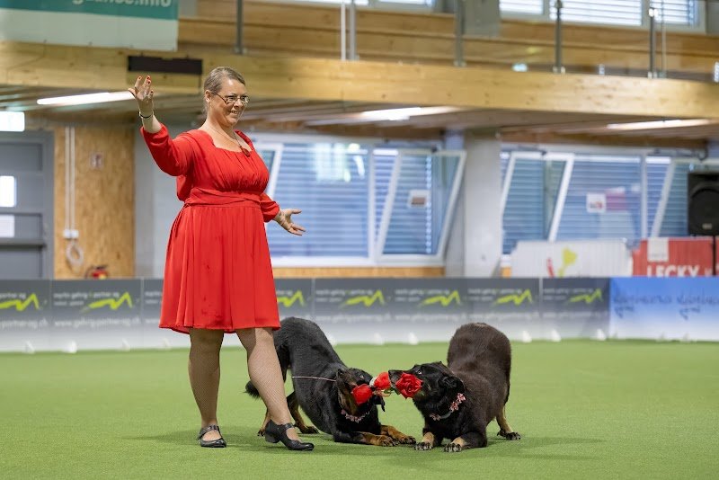 Histoires de Chiens - photo 3