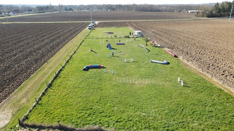 Club canin d'Auxon - photo 3