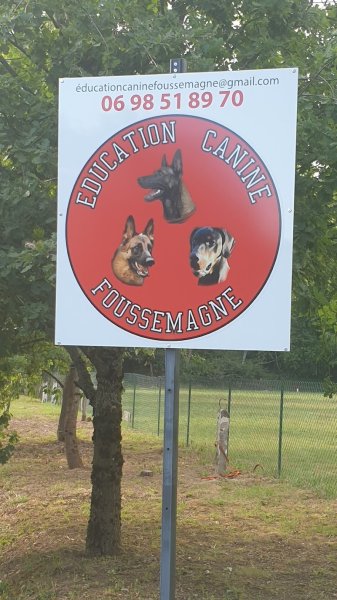 Éducation canine Foussemagne - photo 2