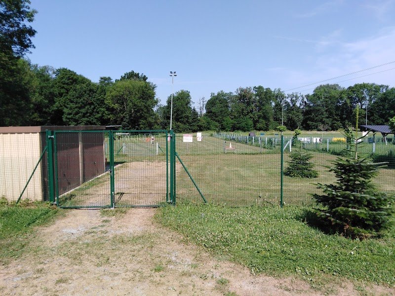 Club canin Dannemarie - photo 2