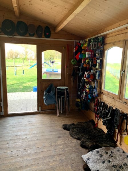 Dog-Motivation Sàrl - photo 3