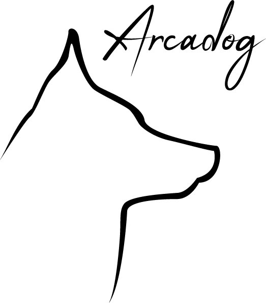 Arcanes canine - éducateur canin - photo 2