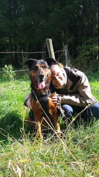 Mil'Canin Synergie - Educateur canin - Equilibre & éducation canine