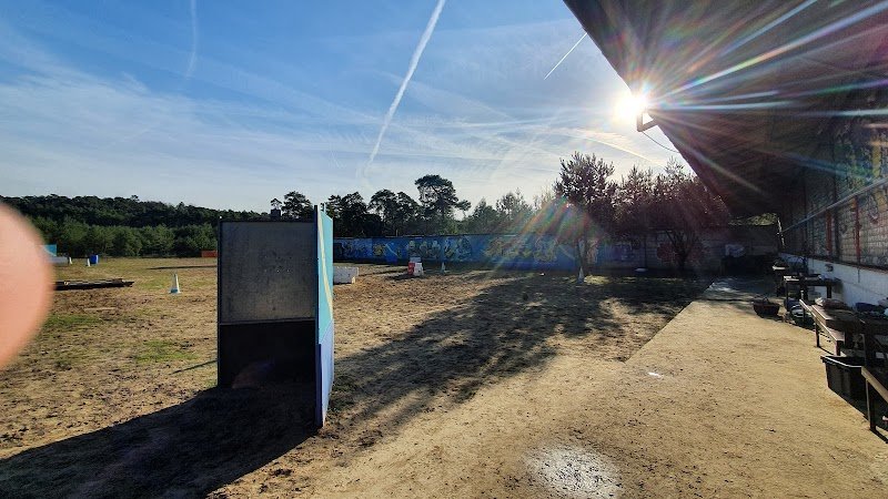 Satori Dog - photo 3