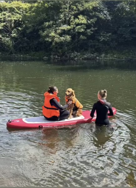 Cani'Progress - Éducatrices comportementalistes canines - photo 3