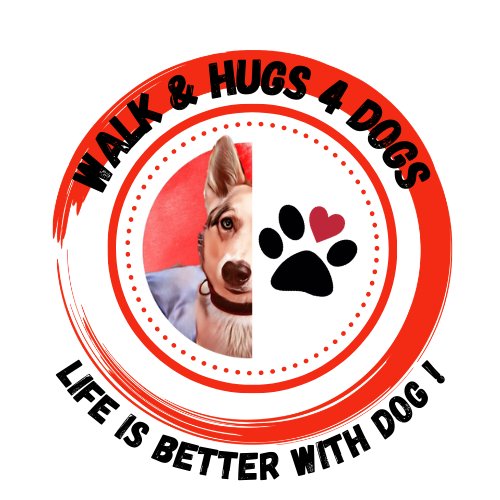 Walk & Hugs 4 Dogs - Pauline DOG SITTER