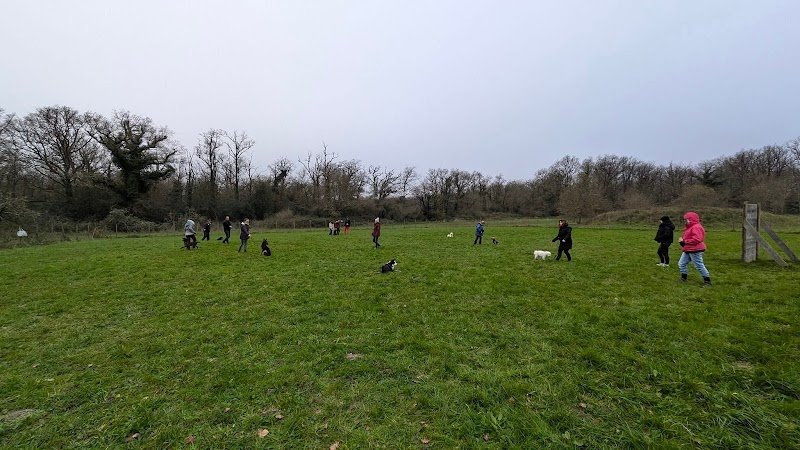 Club canin Gennes Val de Loire