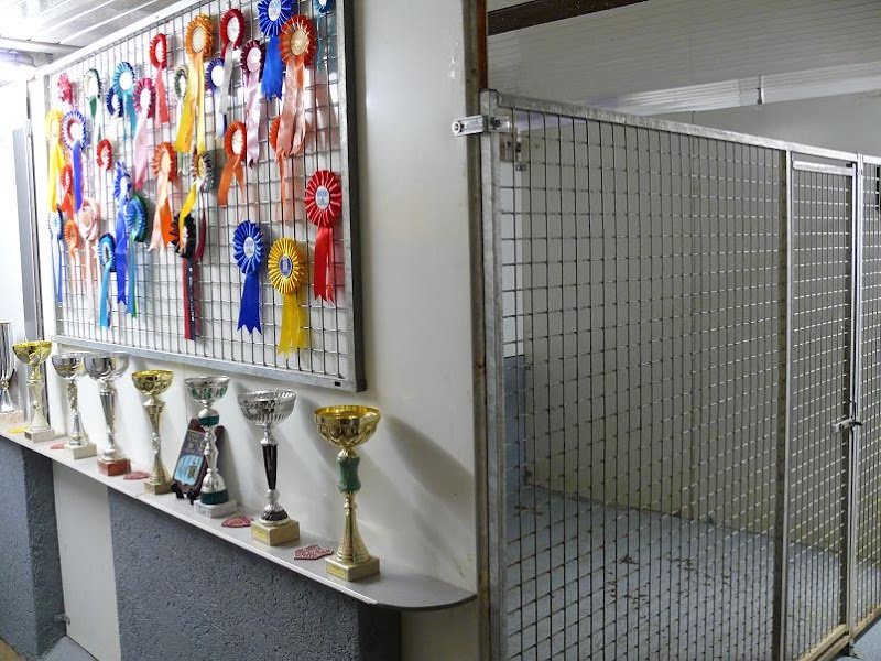 AZOR DOG EXPERT - photo 1