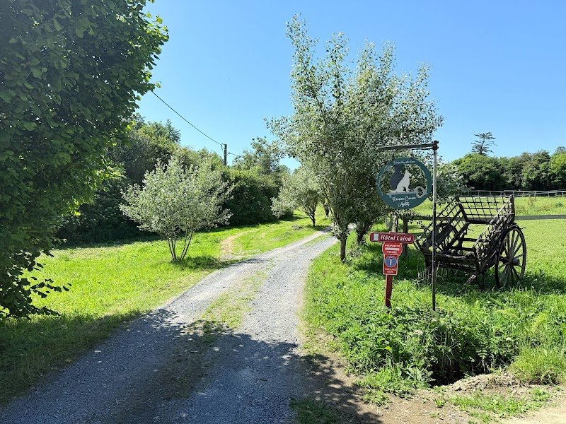 François l'ami des chiens - photo 2