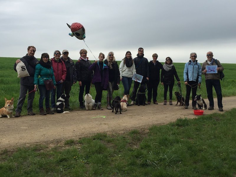 E.C.O. CANIN - photo 1