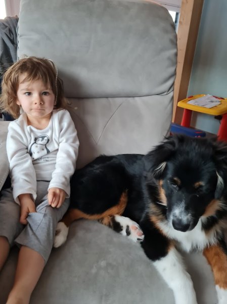 a toutou prix ,Education Canine,Ventre croquette BELCANDO - photo 1