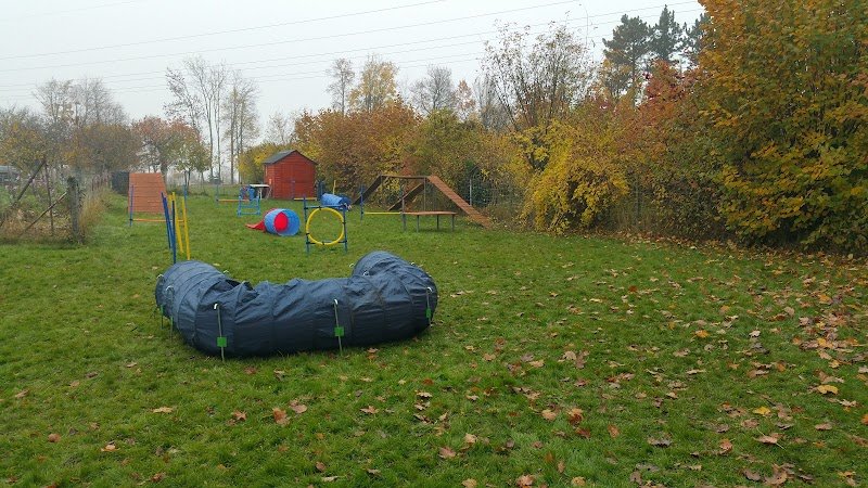 Nat Education canine toutes races