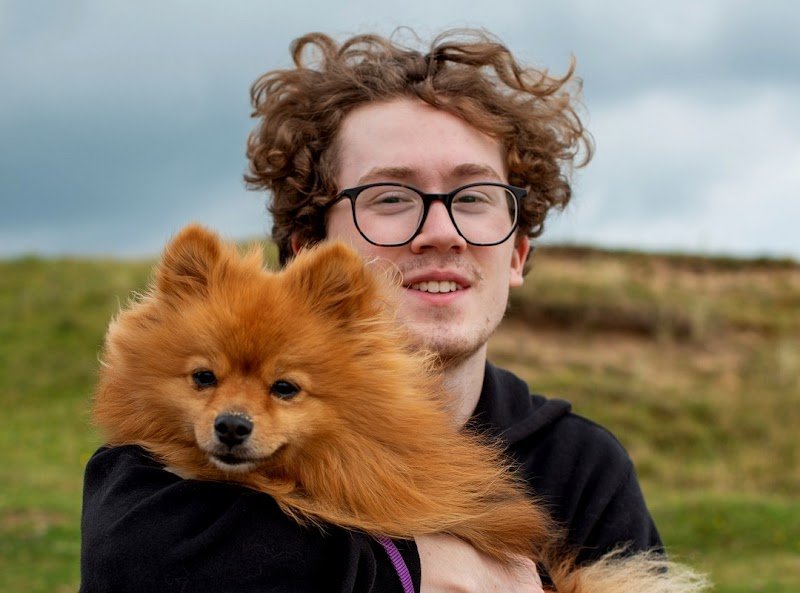 Education canine - photo 2