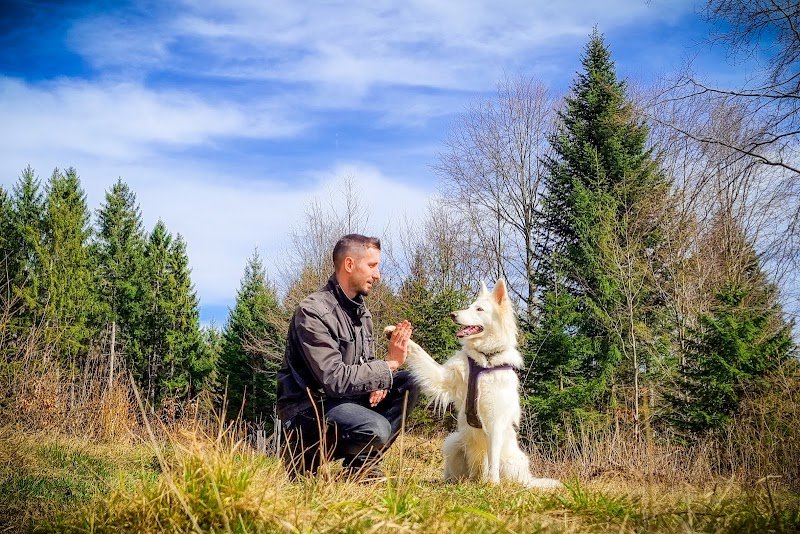 L'Aube Canine - photo 1