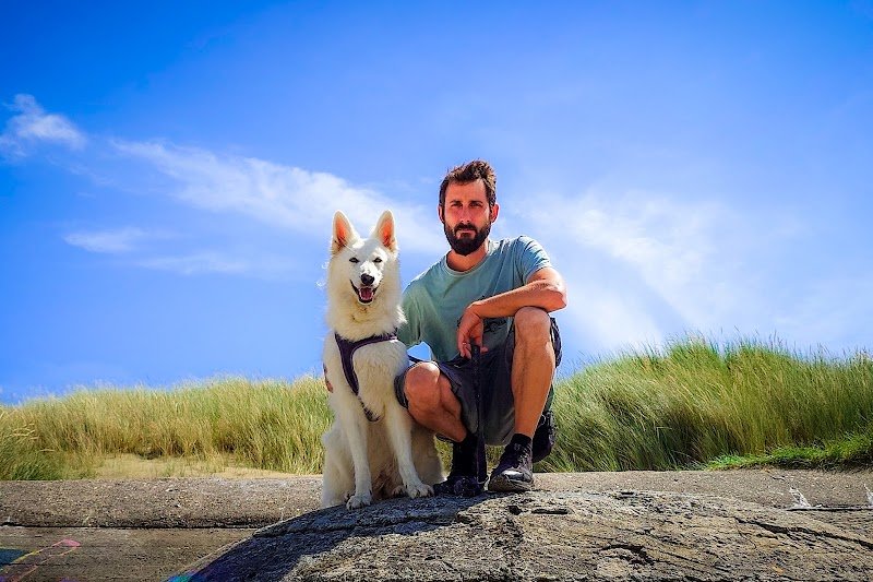 L'Aube Canine - photo 2