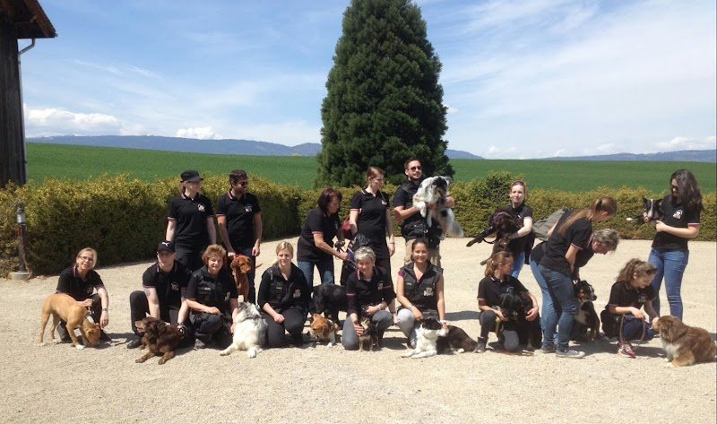 Union Canine de Morges - photo 2