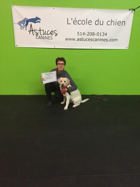 Le Centre Canin Astuces Canines - photo 1