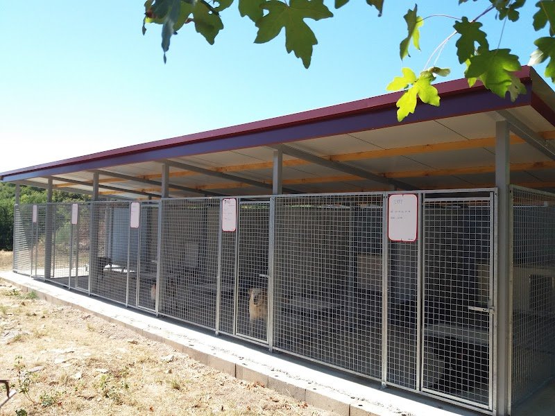 Domaine des granges / Pension canine - photo 1