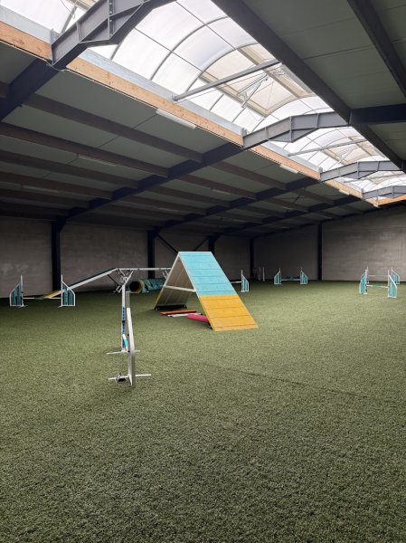 Agilcanin - Agi'MiniFun