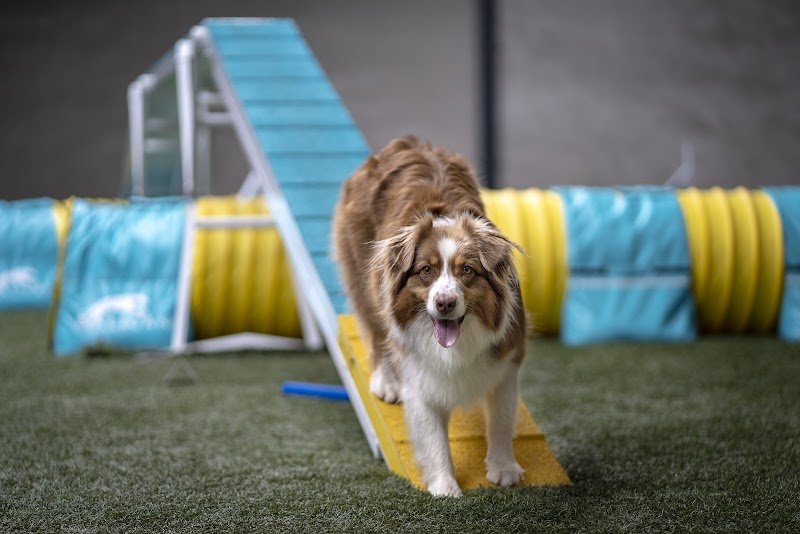 Agilcanin - Agi'MiniFun - photo 2