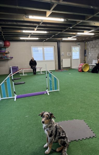 Agilcanin - Agi'MiniFun - photo 3