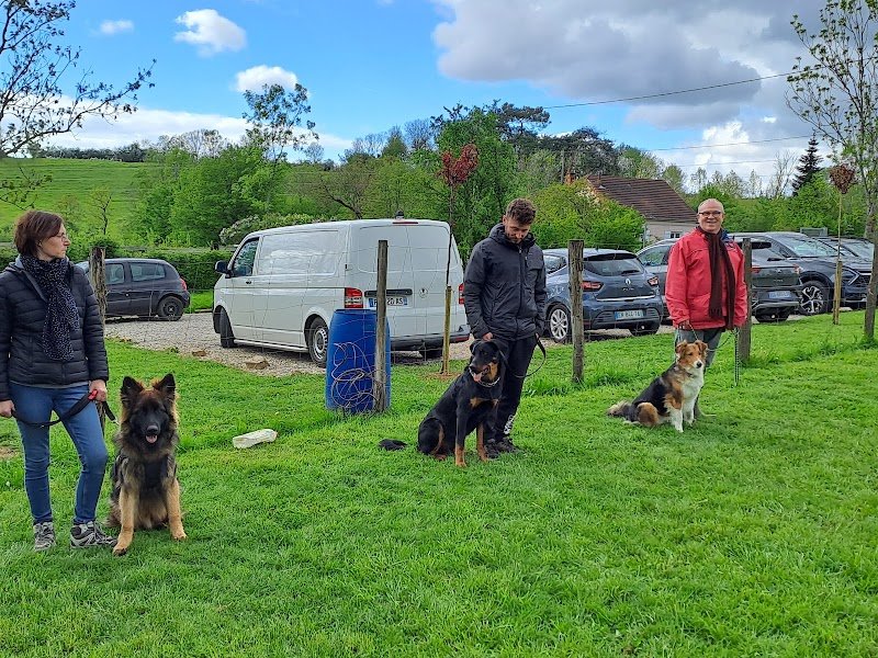 Dog guardia - photo 3