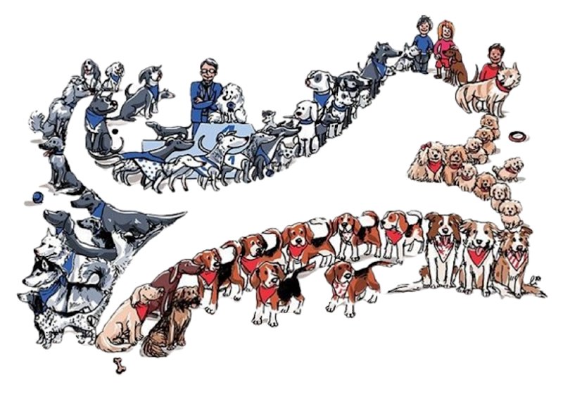 Association Canine Territoriale de Franche Comté - photo 2