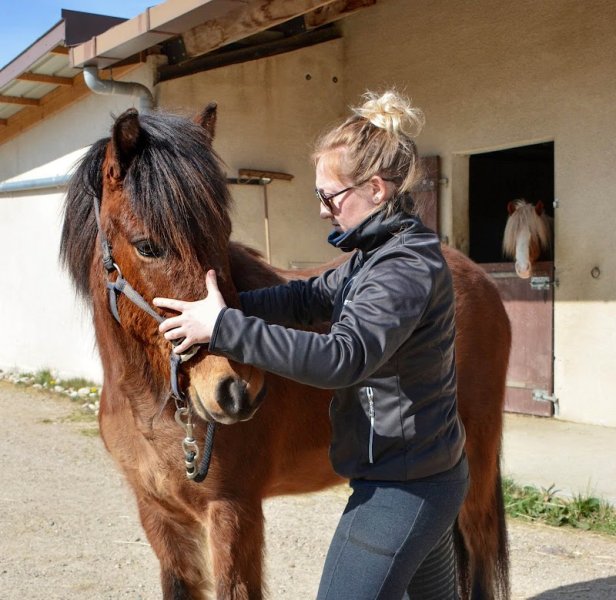 Xavière Gabrion Ostéopathe Animalier (Equin, Canin, Félin, Bovin) - photo 2