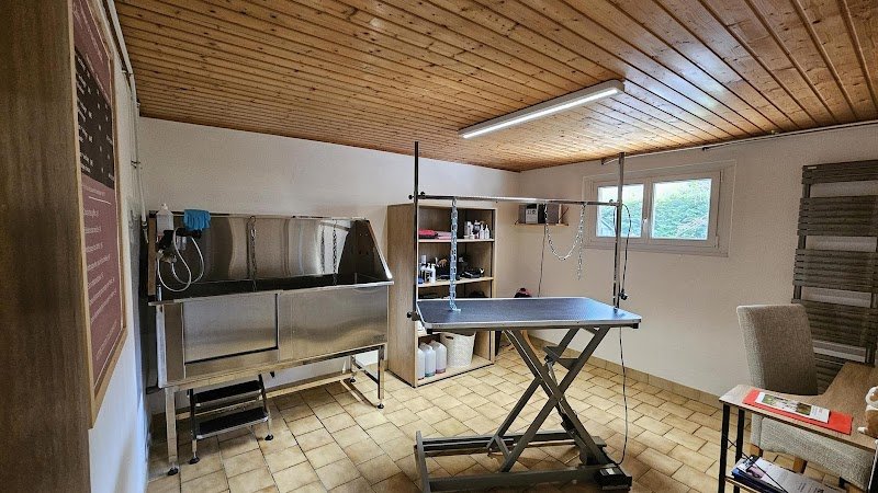 Royet Shanna Toilettage canin - photo 1