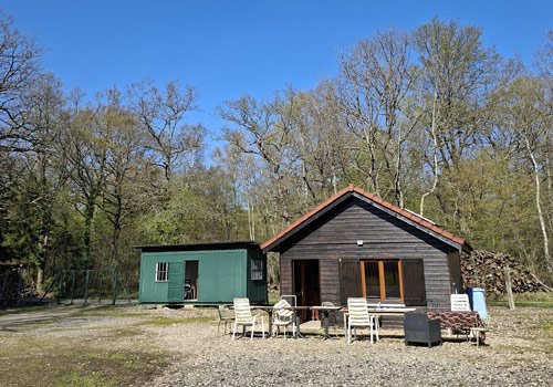 Entrainement chien sanglier