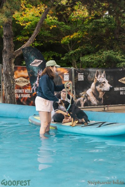 Anabelle Barata, Comportementaliste Canin - photo 3