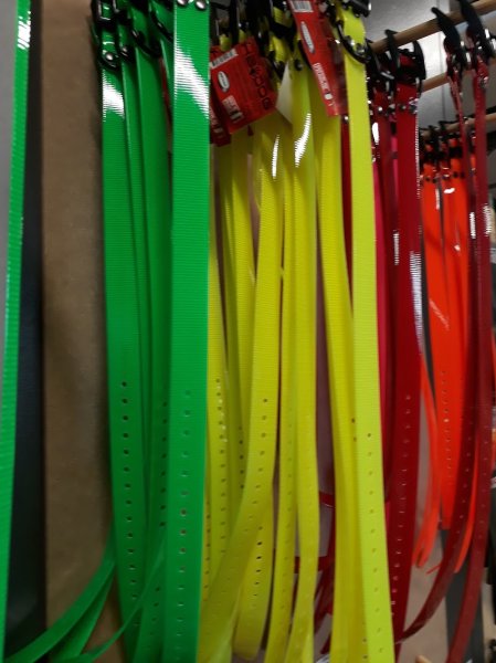 NATURE DOG 39 - photo 2