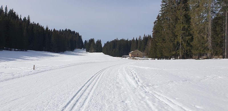 Sentiers Nordiques Activités chiens de traineaux Jura - photo 2