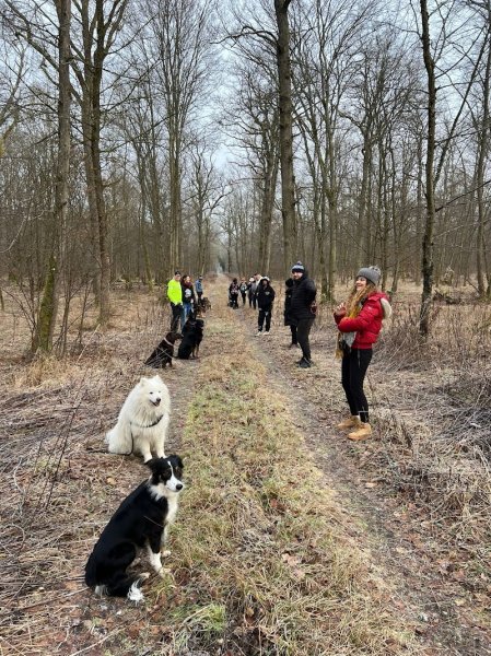 EDUCATION CANINE ALSACE - L' ETOILE DES BERGERS